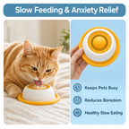 Pet Slow Feeder Bowl