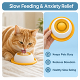 Pet Slow Feeder Bowl